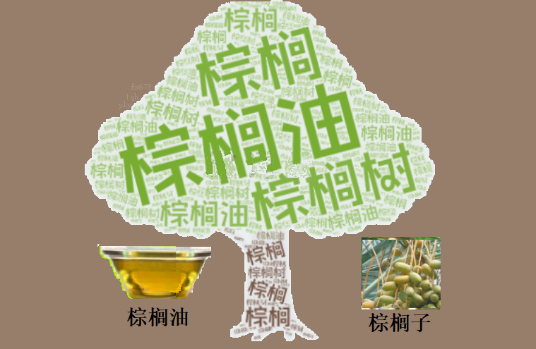 FxPro浦汇中文官网:棕榈油连续两日收阳!反弹行情能否突破关键阻力?技术面释放